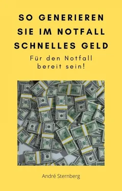 André Sternberg So generieren Sie im Notfall schnelles Geld обложка книги