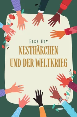 Else Ury Nesthäkchen und der Weltkrieg обложка книги