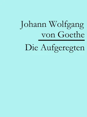 Johann Wolfgang von Goethe Die Aufgeregten обложка книги
