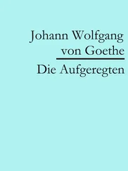 Johann Wolfgang von Goethe - Die Aufgeregten
