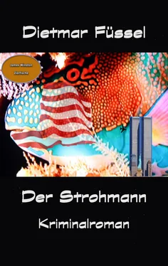 Dietmar Füssel Der Strohmann обложка книги