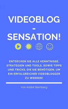 André Sternberg Videoblog-Sensation! обложка книги