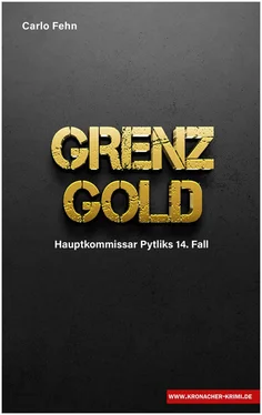 Carlo Fehn Grenzgold обложка книги