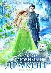 Валерия Чернованова - Мой (не)любимый дракон. Оковы для ари