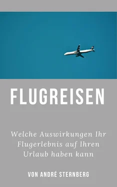 André Sternberg Flugreisen - Dinge die Sie wissen sollten обложка книги