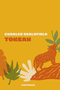 Charles Sealsfield Tokeah обложка книги