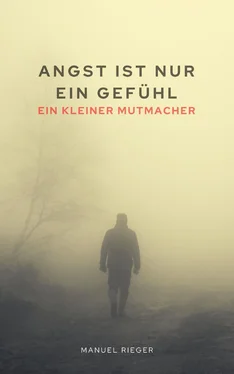 Manuel Rieger Angst ist nur ein Gefühl обложка книги