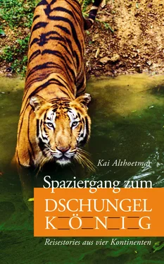Kai Althoetmar Spaziergang zum Dschungelkönig. Reisestories aus vier Kontinenten обложка книги