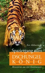 Kai Althoetmar - Spaziergang zum Dschungelkönig. Reisestories aus vier Kontinenten