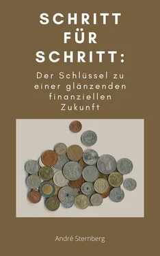 André Sternberg Schritt für Schritt: Der Schlüssel zu einer glänzenden finanziellen Zukunft обложка книги