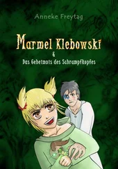 Anneke Freytag - Marmel Klebowski & das Geheimnis des Schrumpfkopfes