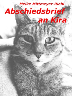 Meike Mittmeyer-Riehl Abschiedsbrief an Kira обложка книги