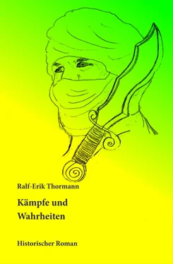 Ralf-Erik Thormann Kämpfe und Wahrheiten обложка книги