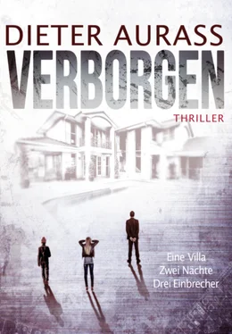 Dieter Aurass Verborgen обложка книги