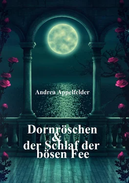 Andrea Appelfelder Dornröschen und der hundertjährige Schlaf der Fee обложка книги