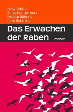 Anke Schmidt Das Erwachen der Raben обложка книги