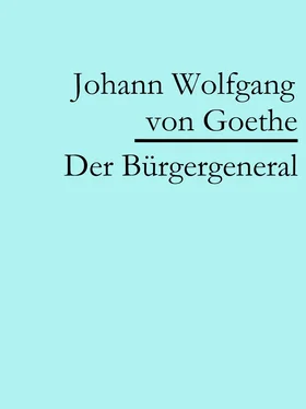 Johann Wolfgang von Goethe Der Bürgergeneral обложка книги