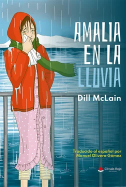 Dill McLain Amalia en la lluvia обложка книги