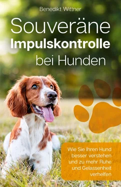 Benedikt Wittner Souveräne Impulskontrolle bei Hunden обложка книги