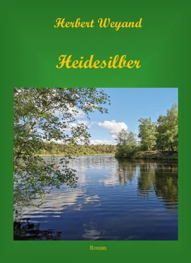 Herbert Weyand Heidesilber обложка книги