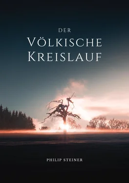 Philip Steiner Der Völkische Kreislauf обложка книги