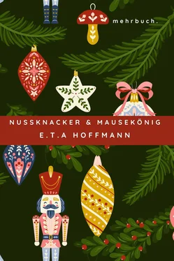 E.T.A. Hoffmann Nußknacker und Mausekönig обложка книги