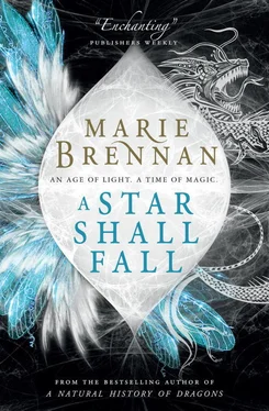 Marie Brennan A Star Shall Fall обложка книги