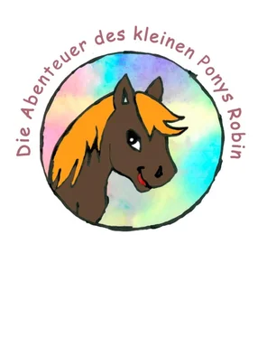 Ralf Paulsen Die Abenteuer des kleinen Pony Robin обложка книги