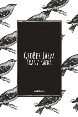 Franz Kafka Großer Lärm обложка книги