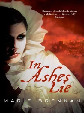 Marie Brennan In Ashes Lie обложка книги