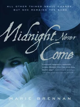 Marie Brennan Midnight Never Come обложка книги