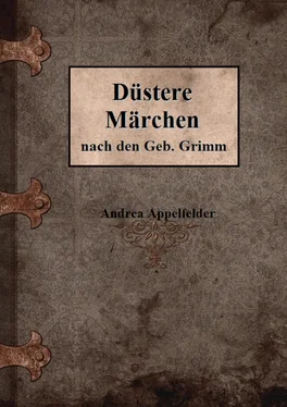 Andrea Appelfelder Düstere Märchen обложка книги