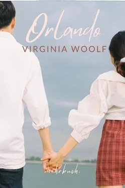 Virginia Woolf Orlando обложка книги