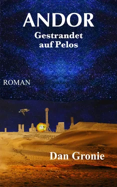Dan Gronie Andor - Gestrandet auf Pelos обложка книги