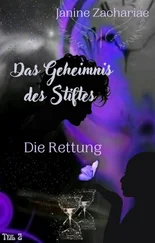 Janine Zachariae - Das Geheimnis des Stiftes 2