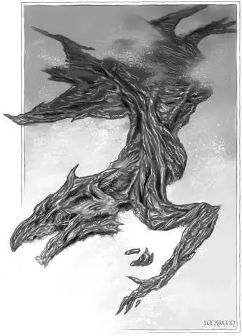 THE FROZEN DRACONEAN Suhail was ripped from me in an instant I lost sight of - фото 8