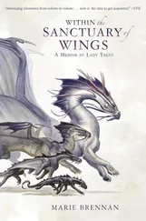 Marie Brennan - Within the Sanctuary of Wings