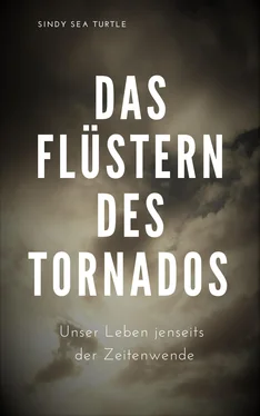 Sindy Sea Turtle Das Flüstern des Tornados обложка книги