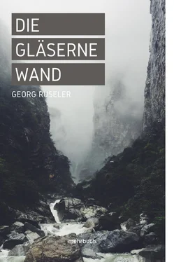 Georg Ruseler Die gläserne Wand обложка книги