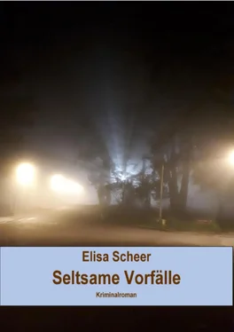 Elisa Scheer Seltsame Vorfälle обложка книги