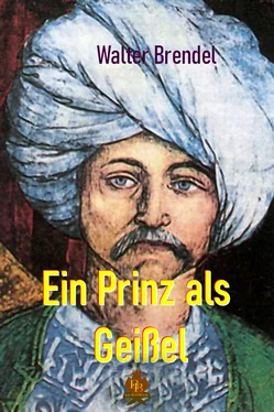 Walter Brendel Ein Prinz als Geisel обложка книги