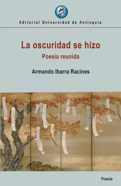 Armando Ibarra Racines La oscuridad se hizo обложка книги