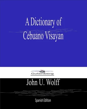 John U Wolff A Dictionary of Cebuano Visayan обложка книги