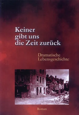 Franz Bingenheimer Keiner gibt uns die Zeit zurück обложка книги