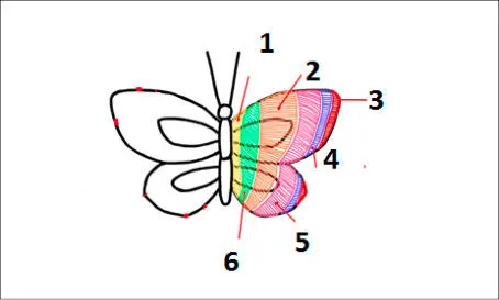 Fuente elaboración propia Por qué proteger las mariposas Las mariposas - фото 25