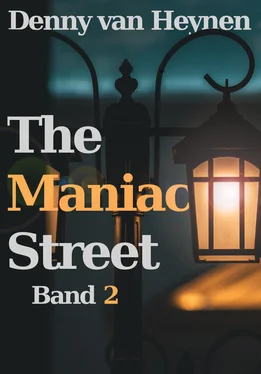 Denny van Heynen The Maniac Street обложка книги