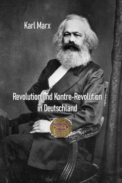 Karl Marx Revolution und Kontre-Revolution in Deutschland обложка книги