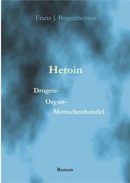 Franz Bingenheimer Heroin обложка книги