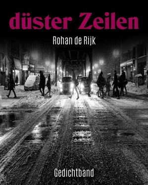Rohan de Rijk düster Zeilen обложка книги