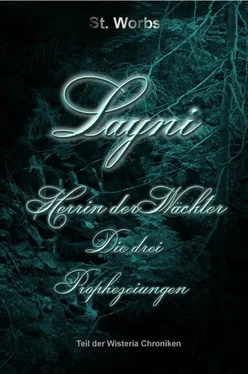 Stefanie Worbs Layni - Herrin der Wächter обложка книги